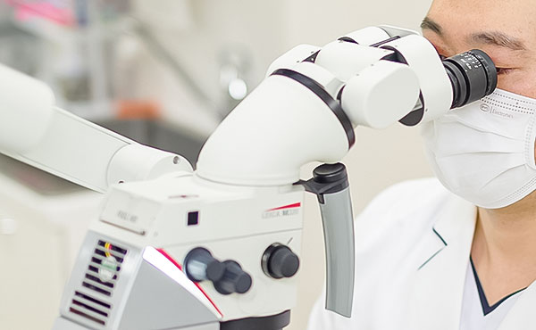 マイクロスコープイメージ